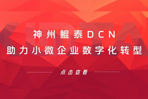 鱼丸游戏街机与森林舞会电玩城DCN助力小微企业数字化转型